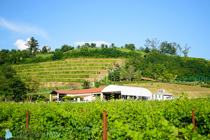 Bastianich Winery in Cividale del Friuli