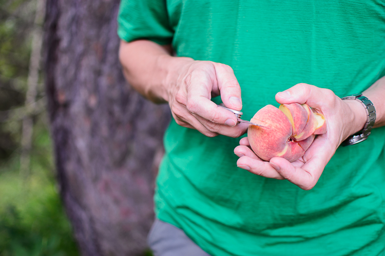 White peaches, the greatest trail food ever.