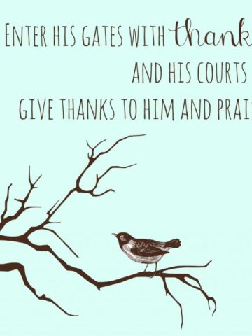 Thankfulness and Everyday Blessings - Kitchen Joy